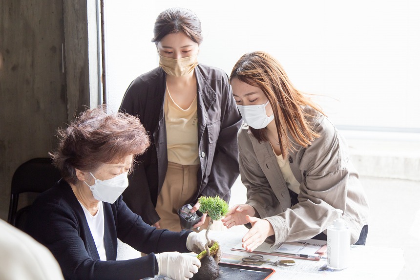 本島にて香川大学の盆栽ガールズが苔玉づくりワークショップを開催します！