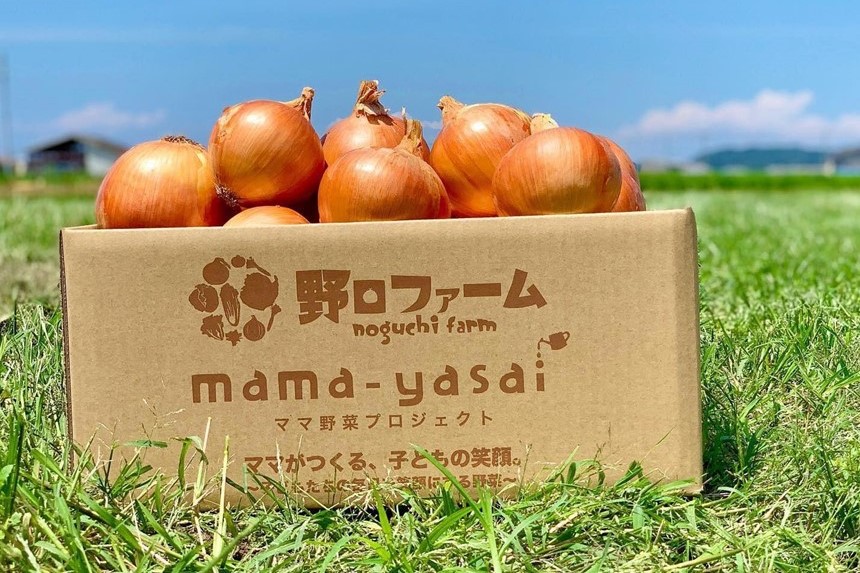 淡路島で農業体験。子供を笑顔にする野菜「mama-yasai」を作ろう！