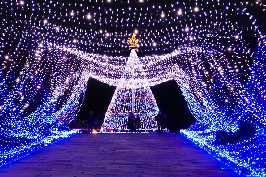 【2025】まんのう公園のイルミネーション「ウィンターファンタジー」明日から開催