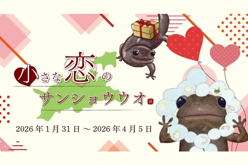 四国水族館で『小さな恋のサンショウウオ展』開催中！