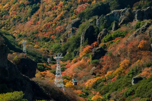 小豆島観光がお得に！寒霞渓ロープウェイ引換券が再販開始！