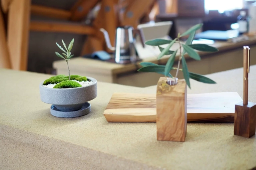 カウンターの植物