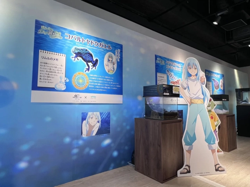 リムルとコバルトヤドクガエルの解説パネル