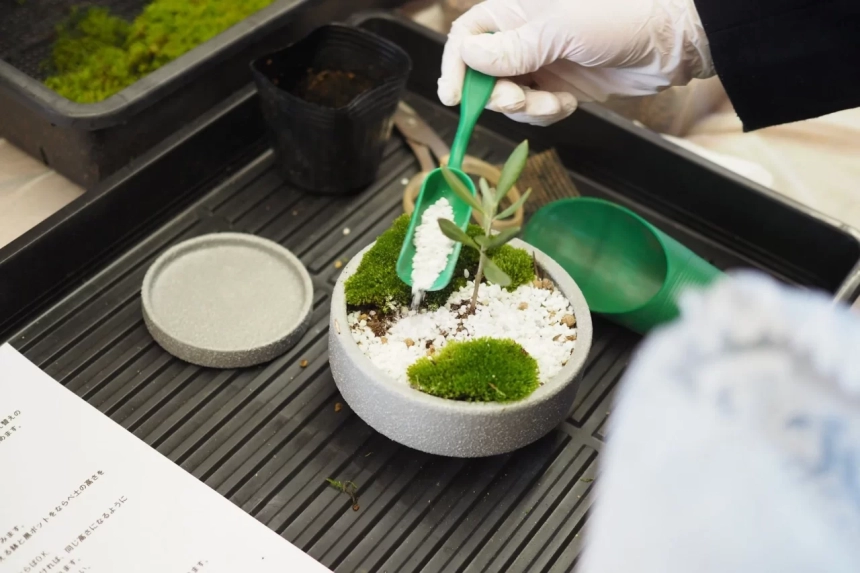 盆栽作成の様子