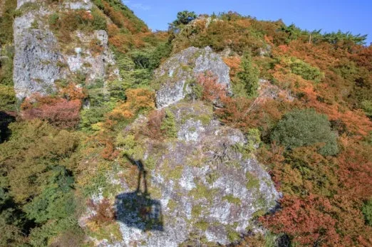 紅葉とロープウェイ